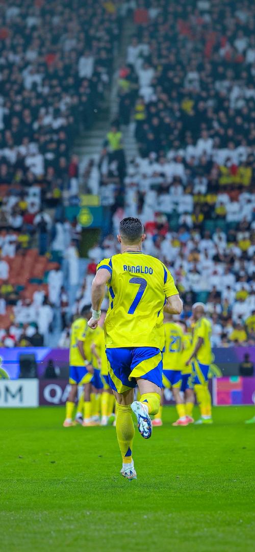 日本兵库县九名警务人员涉嫌网络赌博被捕